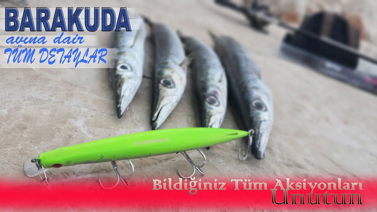 BARAKUDA TUTMAK İSTİYORSANIZ , BU AKSİYON, BU SAHTE SİZE TÜM BİLDİKLERİNİZİ UNUTTURACAK