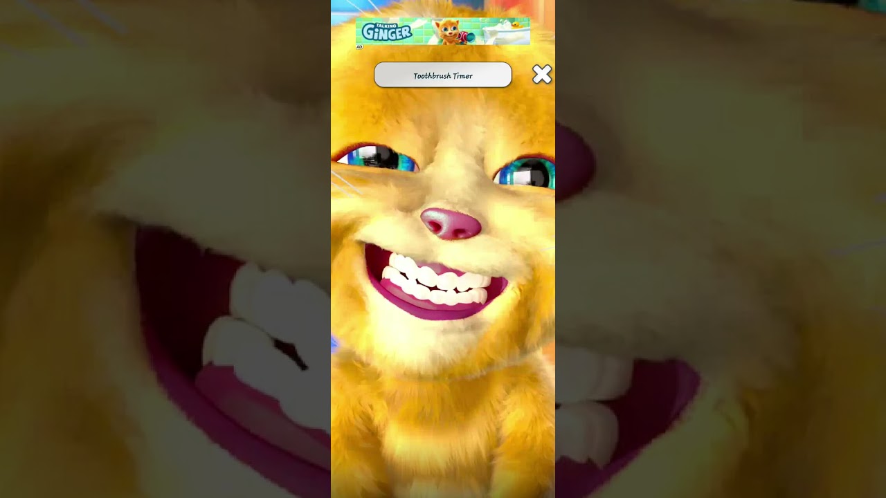 Talking Tom Cat Funny Gameplay