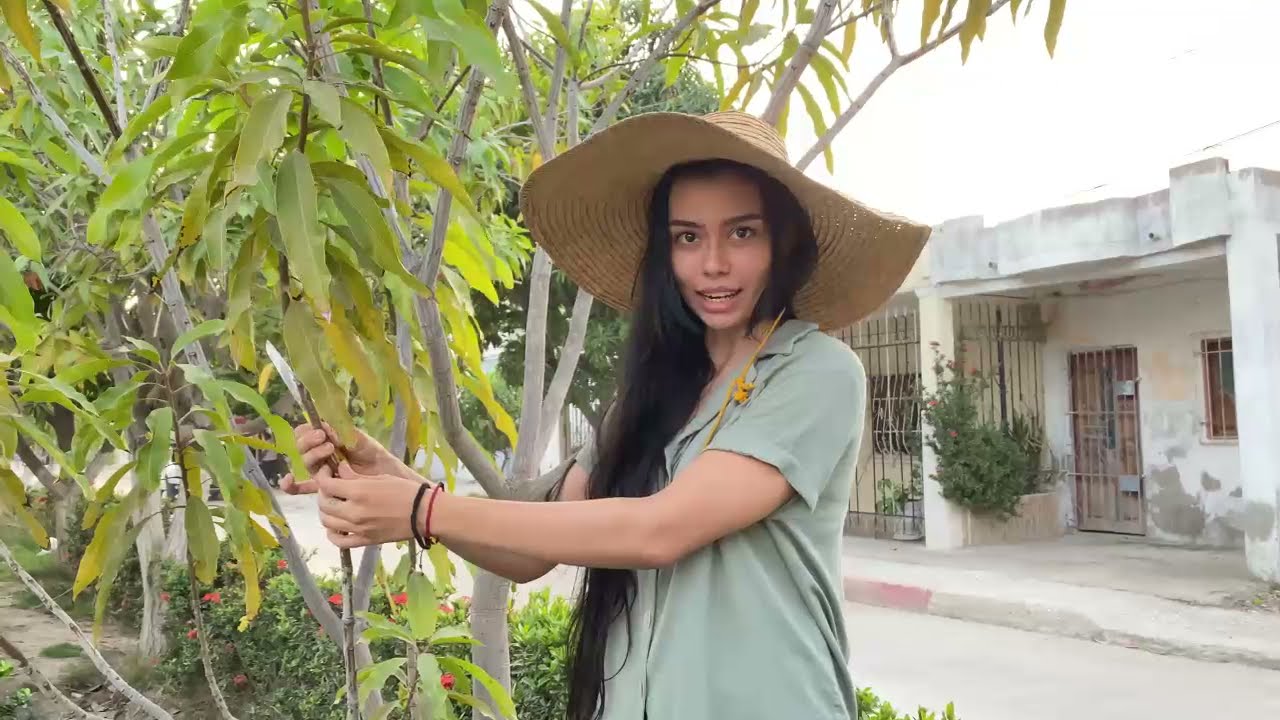 APRENDE A INGETAR TU  MISMO - MANGO DE AZUCAR-MANGO CHANCLETA-MANGO HILAZA