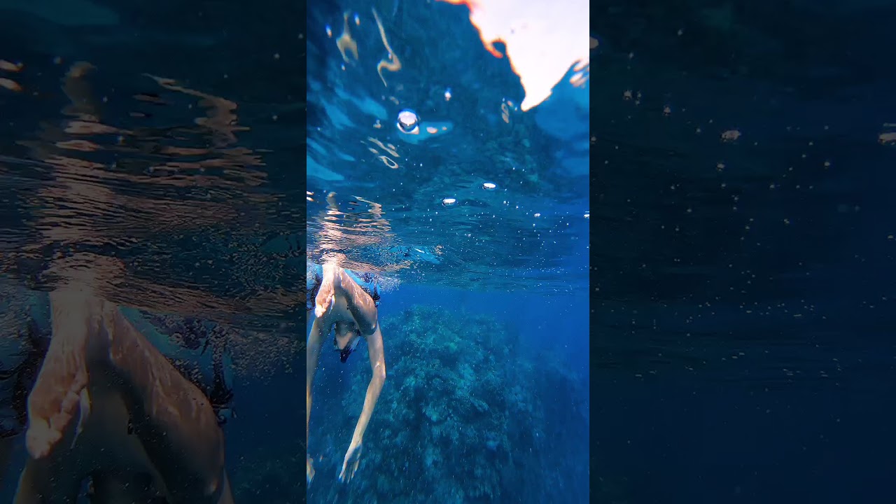 diving in saudi Arabia