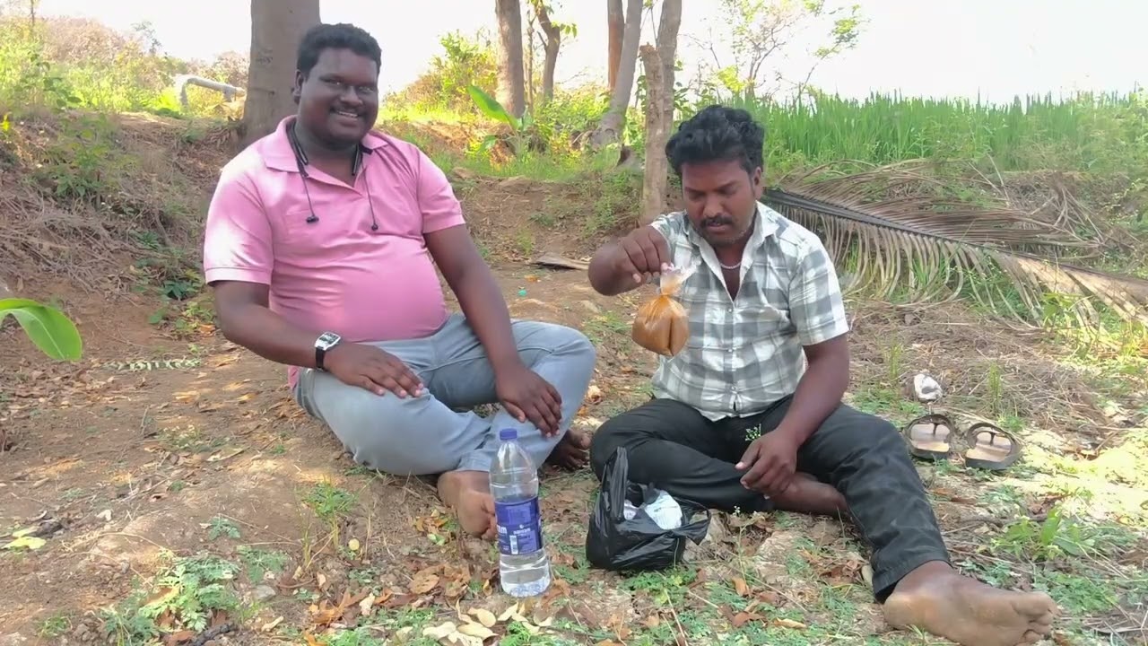 After noon lunch