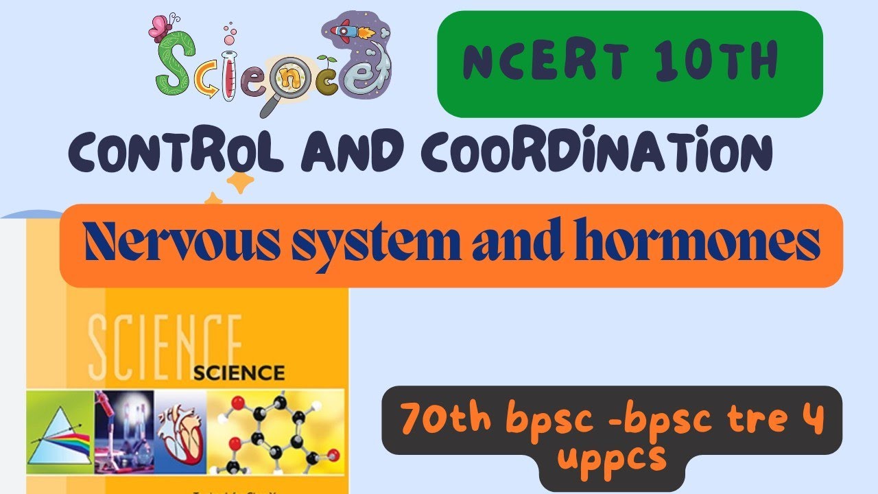 Ncert 10th science - control and coordination || nervous system and hormones