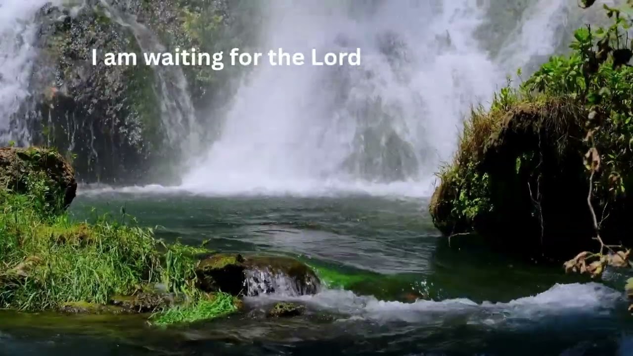 Waiting for You