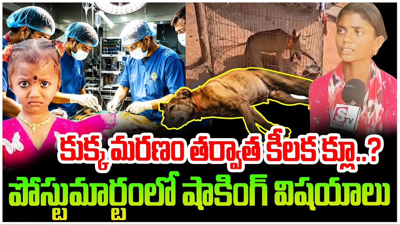 🔴LIVE :Tuni Gnaneshwari Missing Mystery | Dog Post-Mortem Report | Tuni | SumanTV Sai