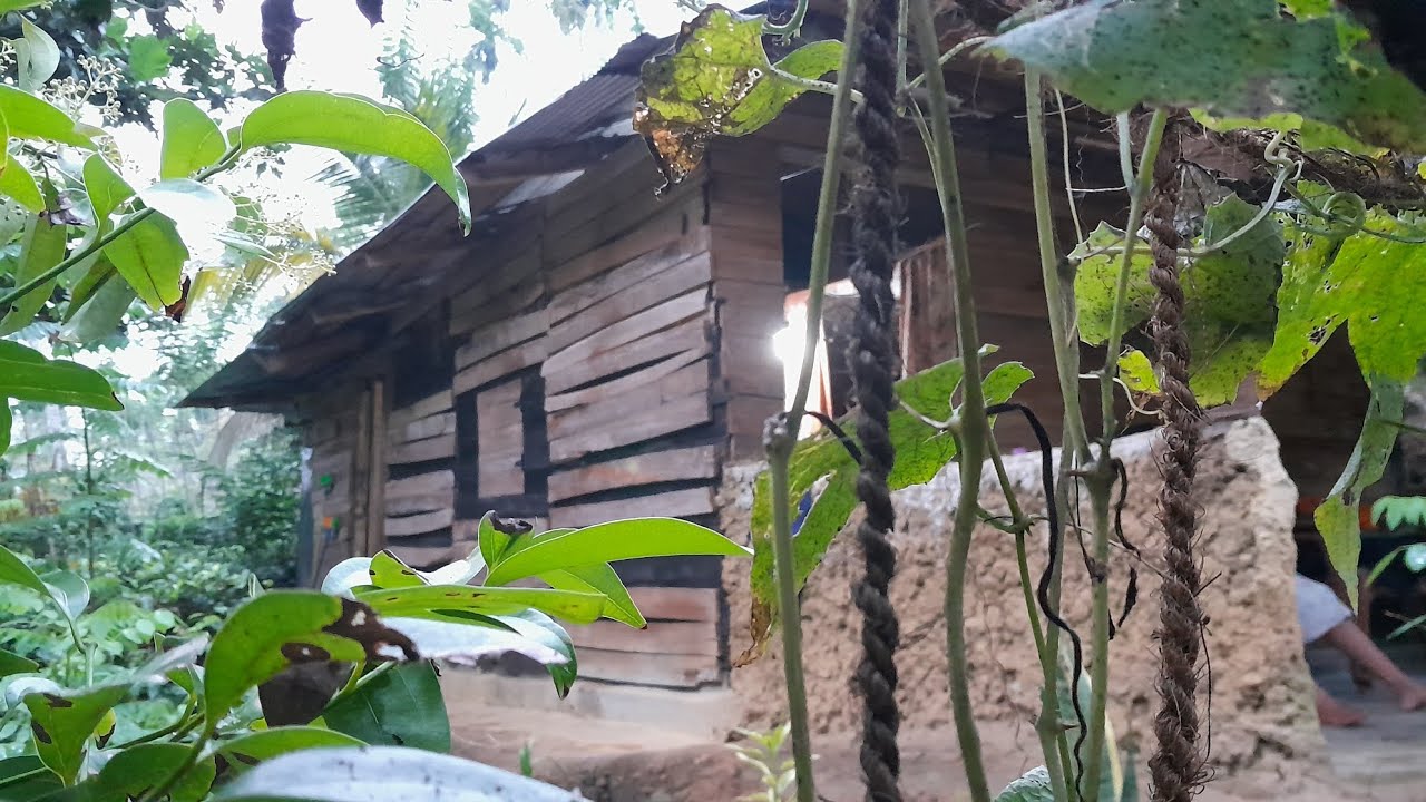 ගෙදර වැඩ එක්ක  වෙරළු කඩන්න ගිය දවසක් 🍃 | Our Simple Life Day