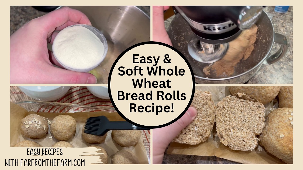 The Softest Whole Wheat Bread Rolls Recipe Ever!
