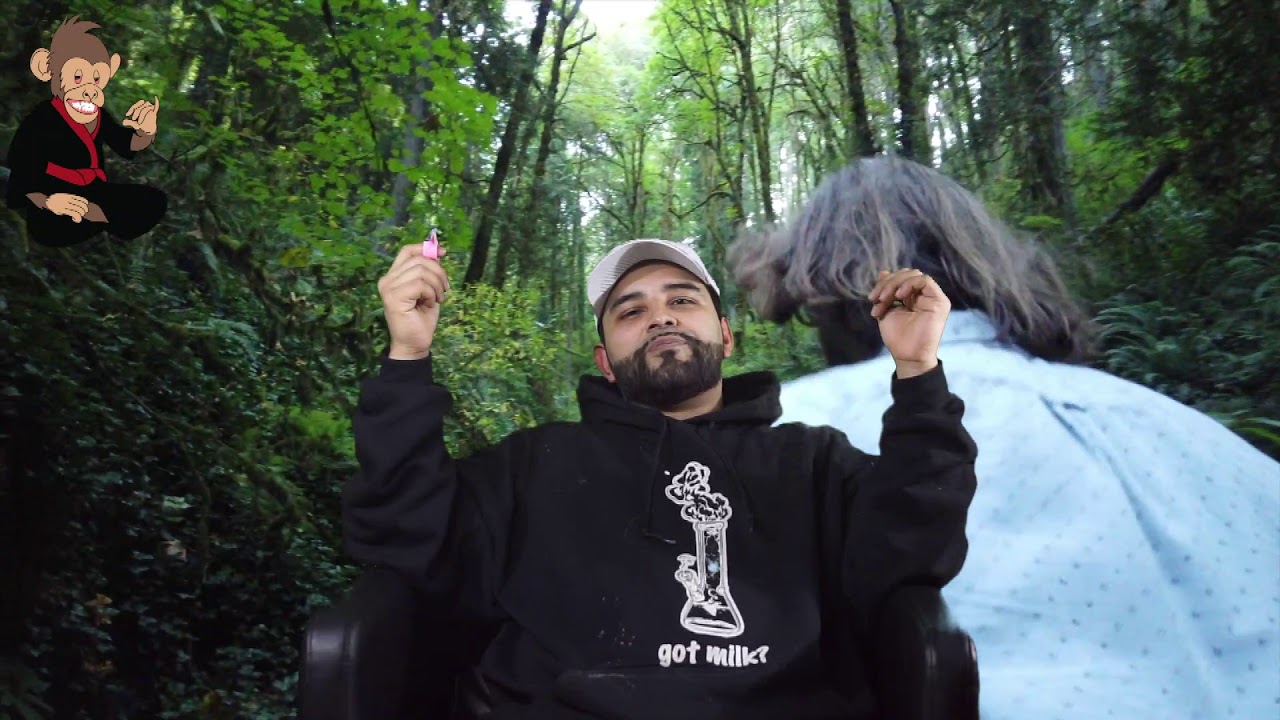 HappyMunkey Testimonials & Big Predictions with Pot Hefner