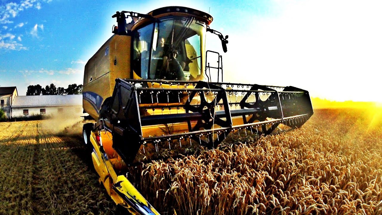 ☆ Żniwa 2017 ! ☆ Pszenica ! -- New Holland TC 5.80 & TD 5040 --