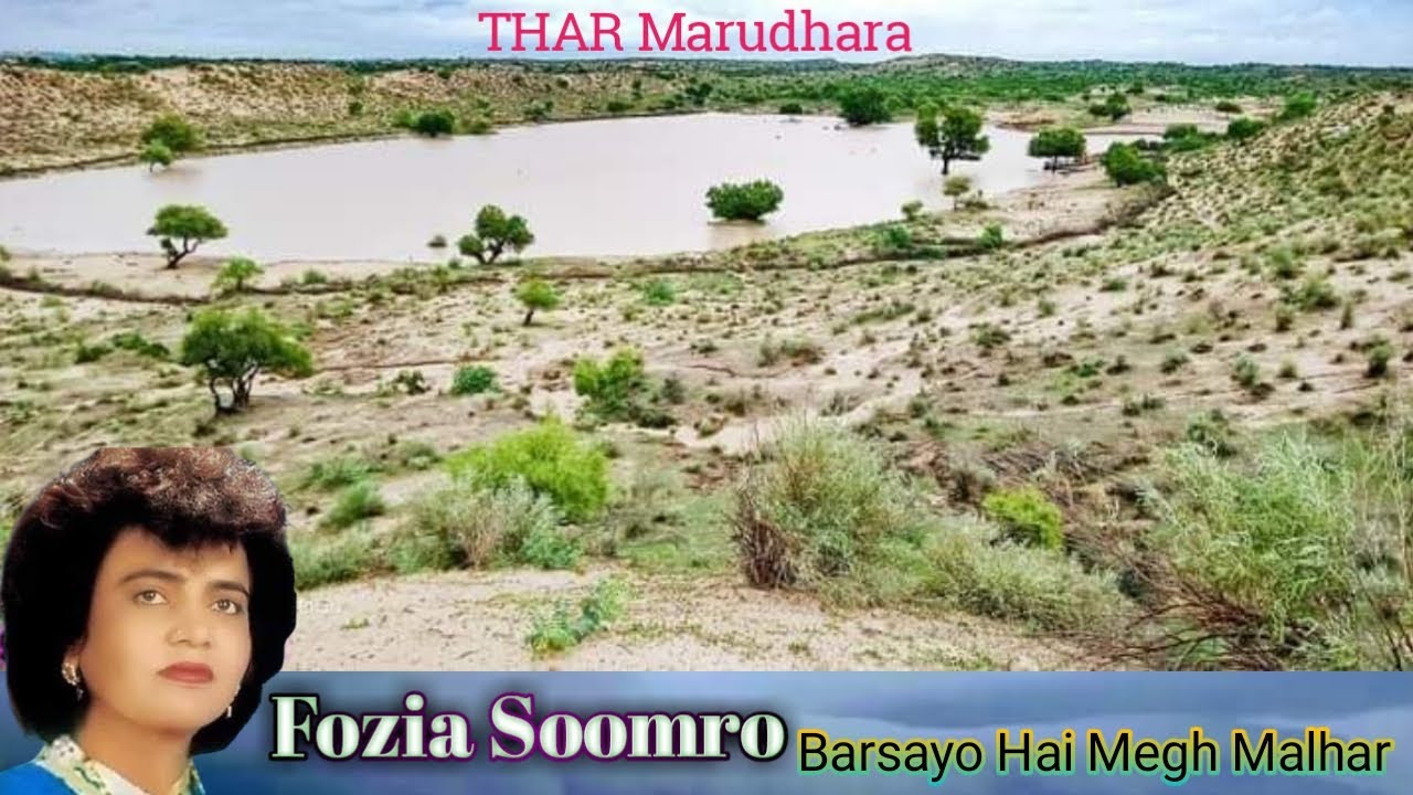Dhel re moride ri jhori laage fothri || Barsayo Hai Megh Malhar || Fozia Soomro Sindhi Old Song ||