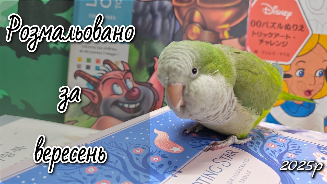 Розмальовано за вересень 2025 р/ Hachette, Аркуш, Maria Trolle, Dessain et Tolra, Chodam_soo