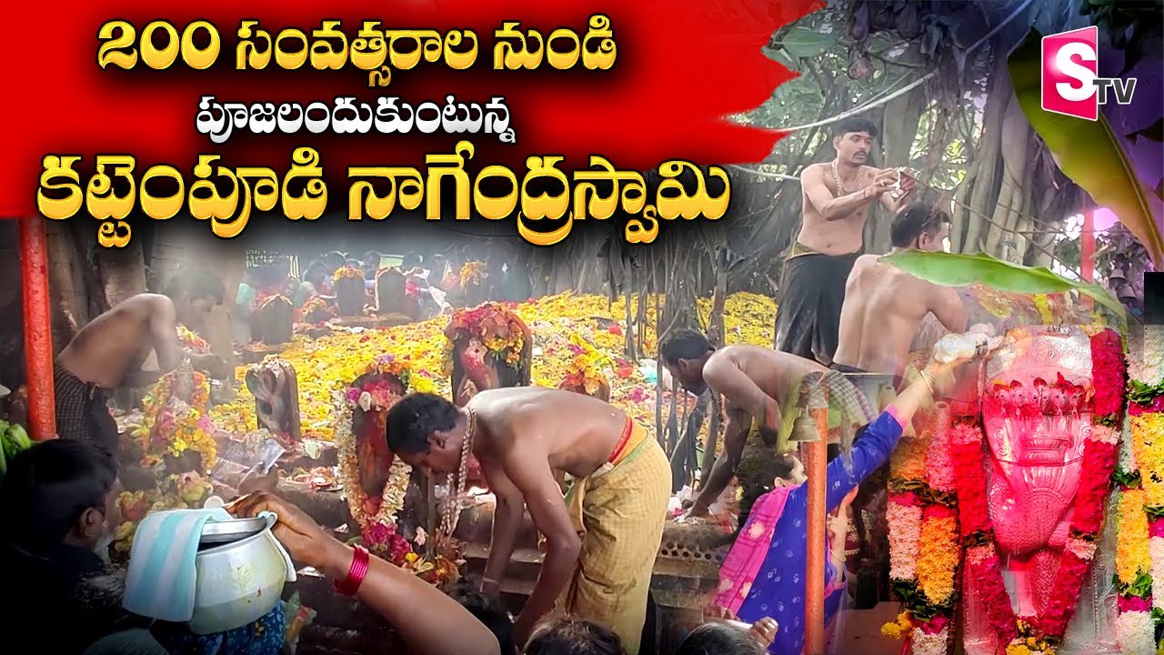 Nagula Chavithi Pooja in Telugu | Sri Nagendra Swamy Vaari Devasthanam | Kattempudi | Ponnuru