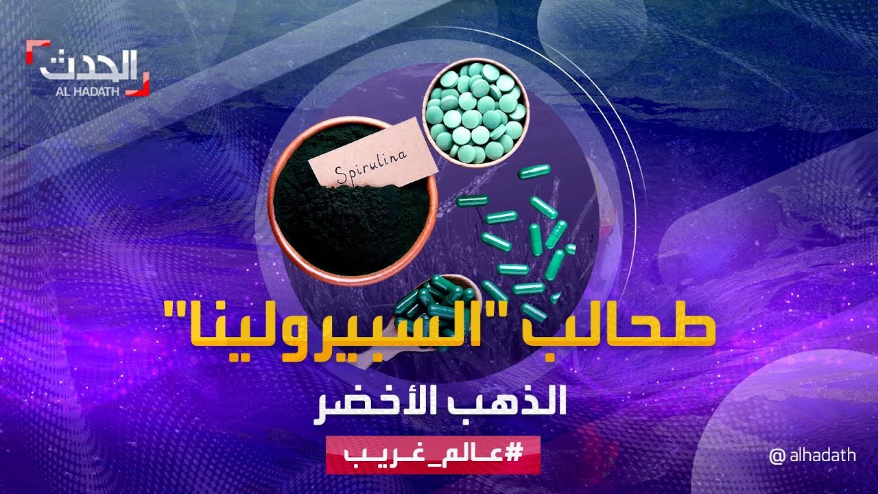 عالم غريب | طحالب 