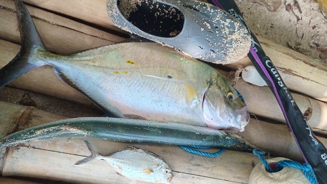 Mancing Disini Pasti Dapat Hasil / PARANG IRENG / Alas purwo /
