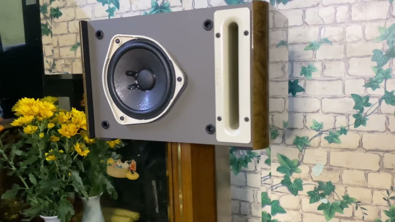 Bộ Dàn BOSE PLS-1310 Đẹp keng chất âm tuyệt vời (Lh:0939609039) Zalo ) ship toàn quốc 