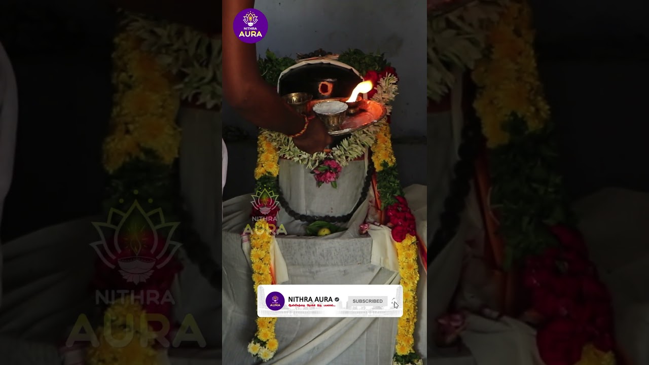 sivantemple #sivasiva #sivan #shorts #sivantemples #shivatemple #temple #short