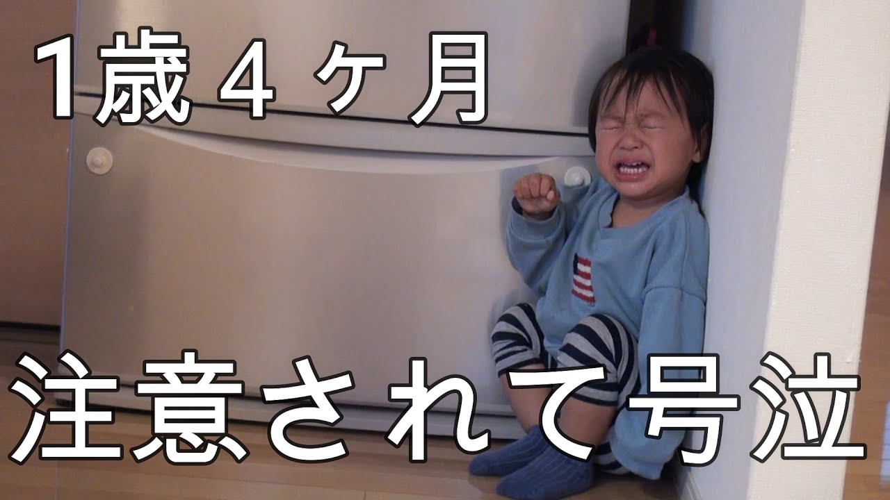 【1歳子供怒られて号泣】氷好きな息子を注意したら大泣きでした