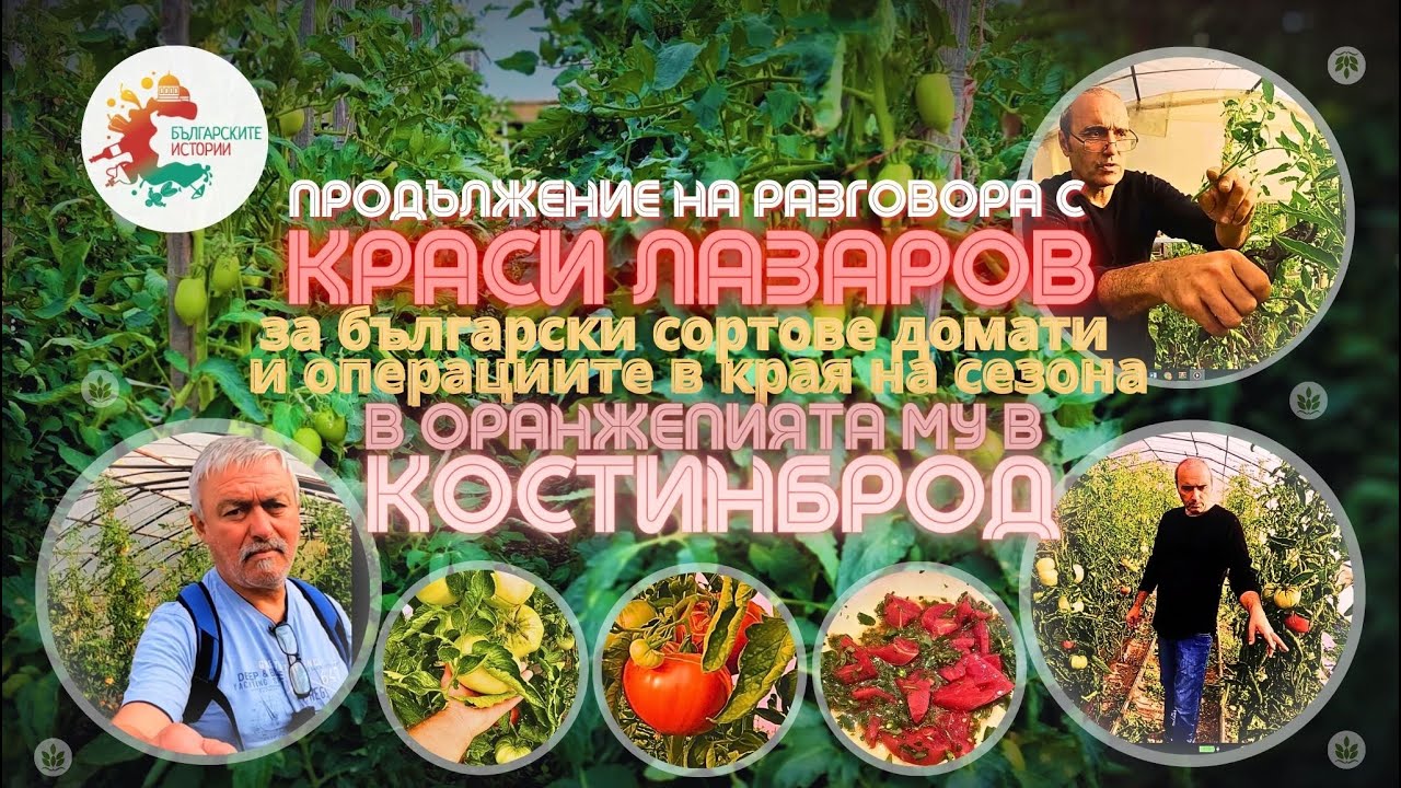 Зеленцуци, отгледани с любов и разбиране. Краси Лазаров ще Ви разведе през оранжерията му. Вижте !