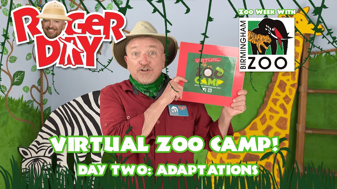Adaptation - Virtual Zoo Camp Day Two