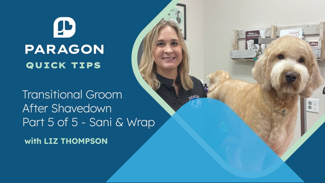 Quick Tips: Transitional Groom After Shavedown Part 5 of 5 - Sani & Wrap with Liz Thompson