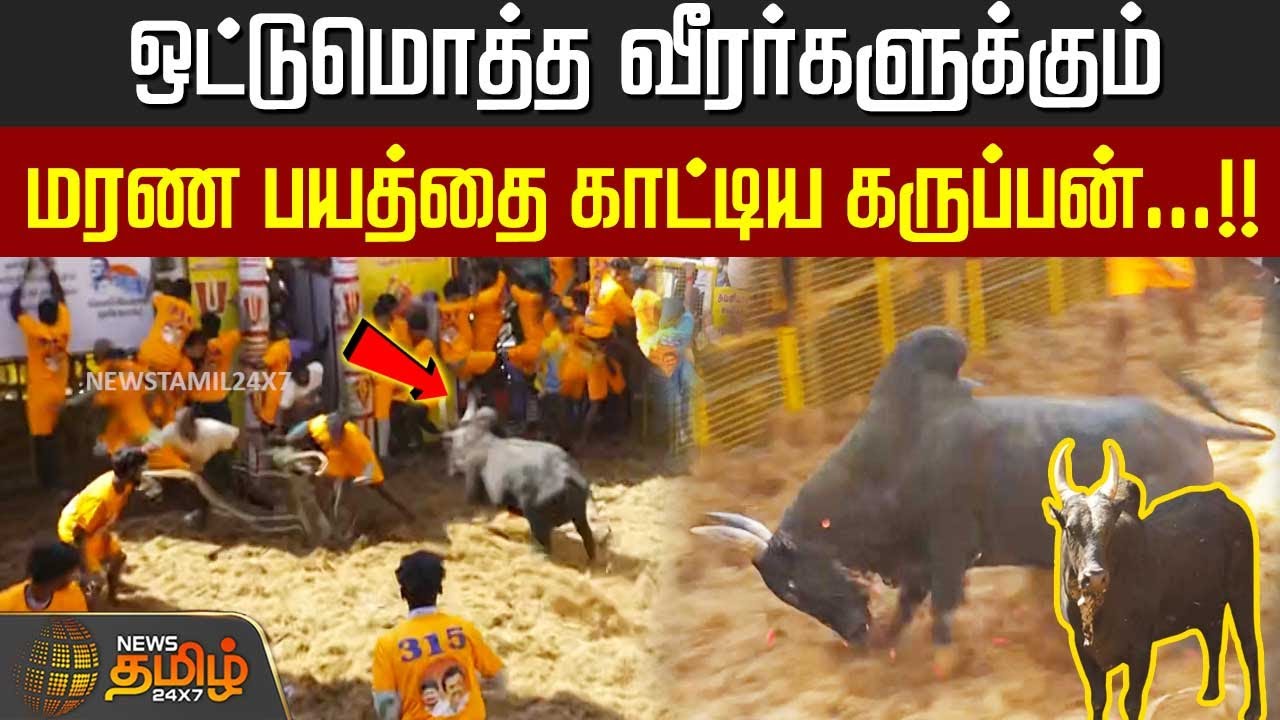 Avaniyapuram Jallikattu | ஒட்டுமொத்த வீரர்களுக்கும் மரண பயத்தை காட்டிய ''கருப்பன்''...!! | Madurai