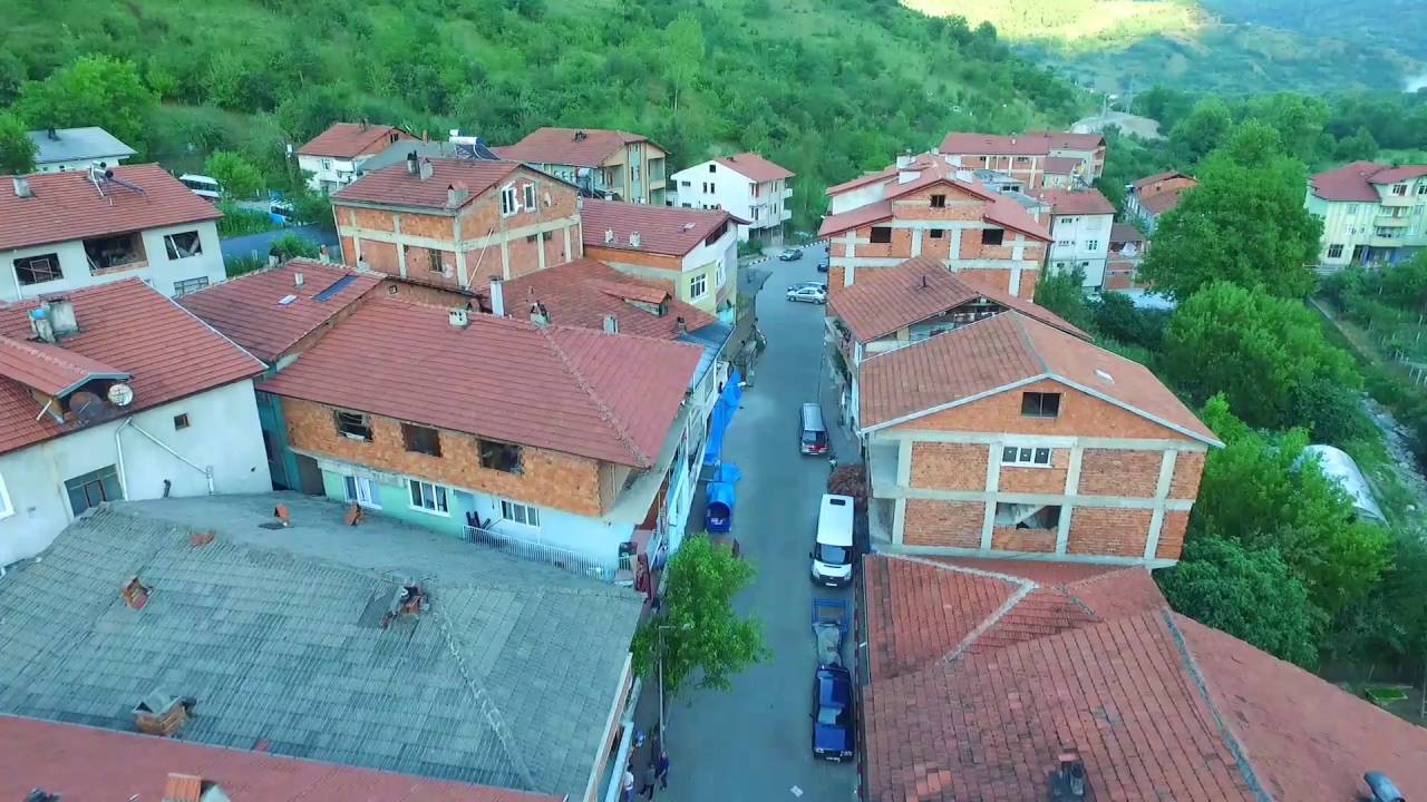 yortan