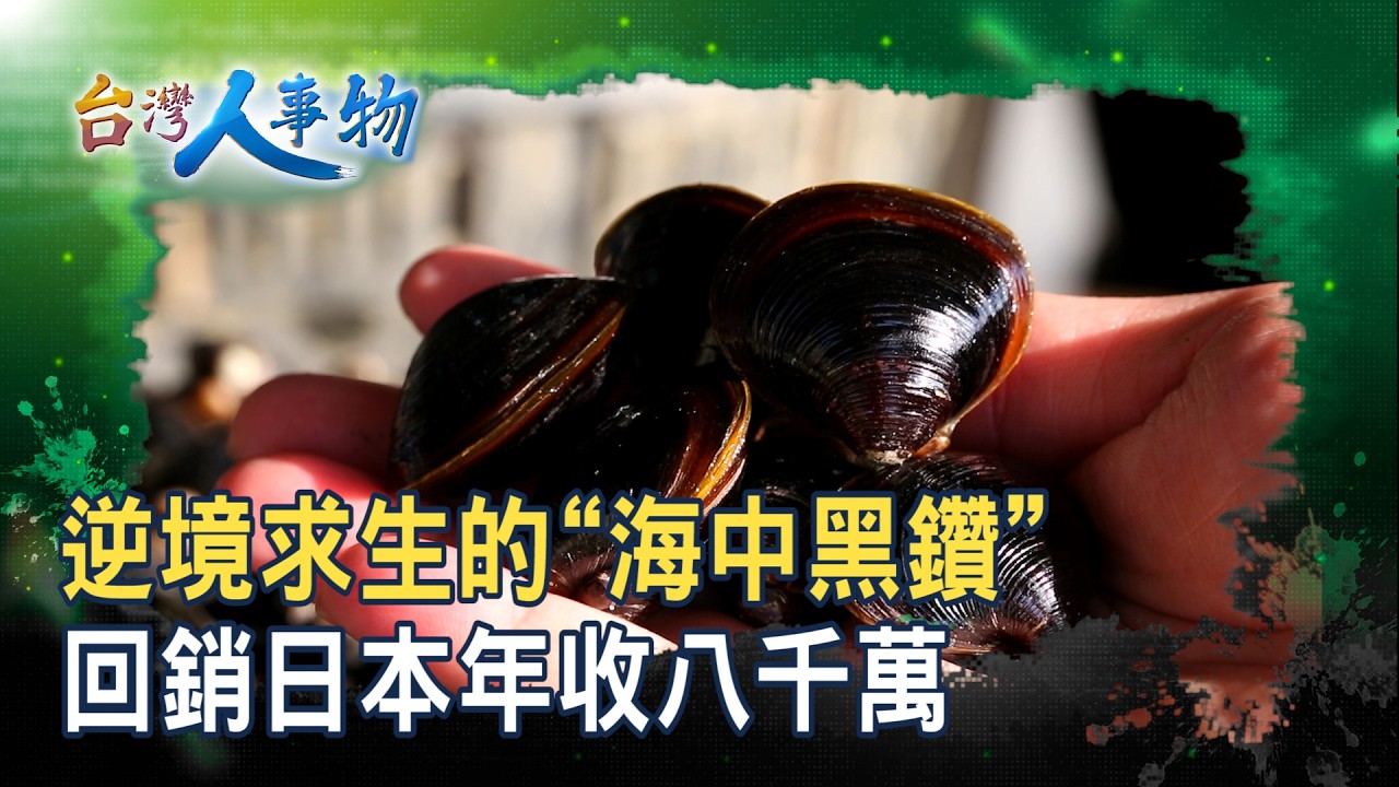 回銷日本的&ldquo;蜆中之王＂｜通利水產行｜【台灣人事物】2026.04.11