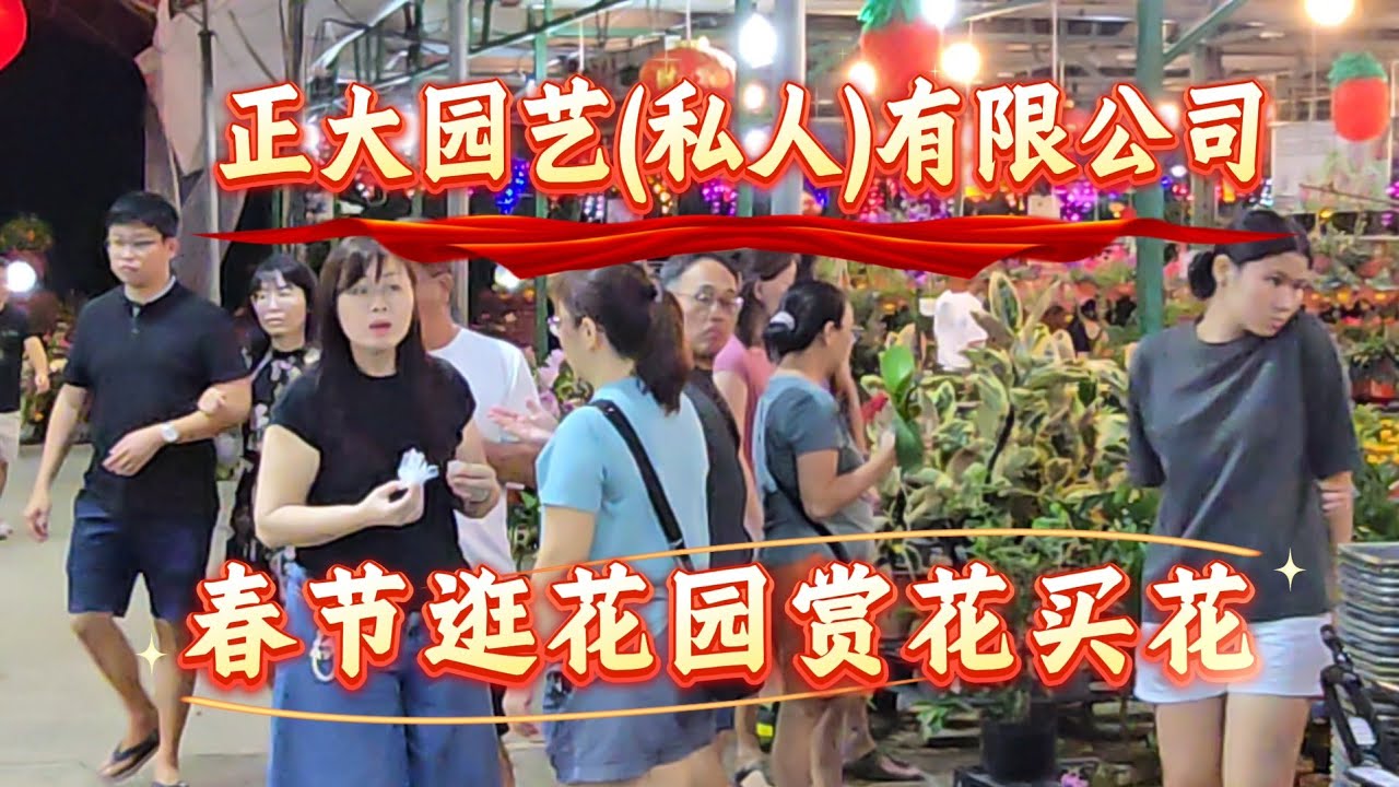 2026-02-14【正大园艺(私人)有限公司.】逛花园买年花,花园面积大品种多……