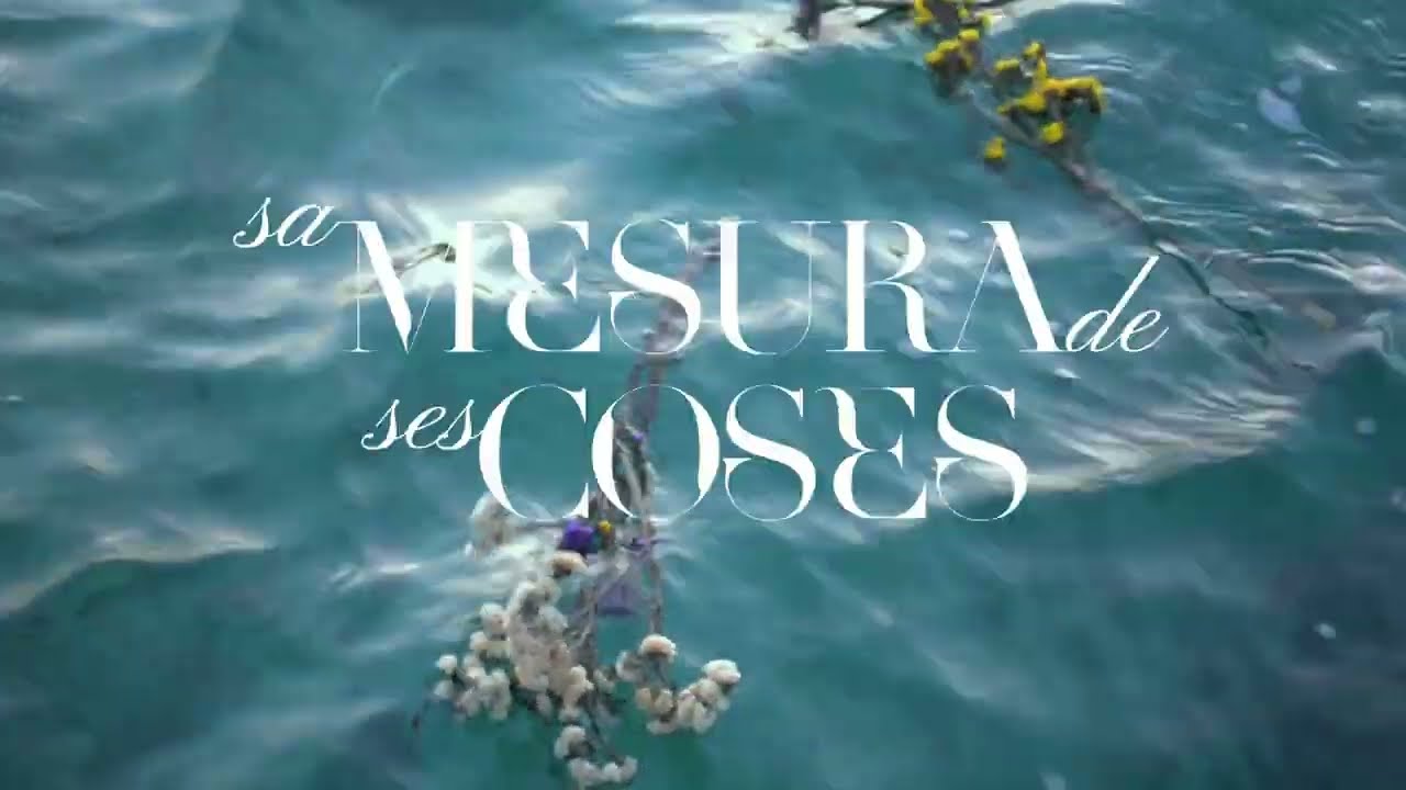 4. Sa mesura de ses coses (lyric video) - Majava