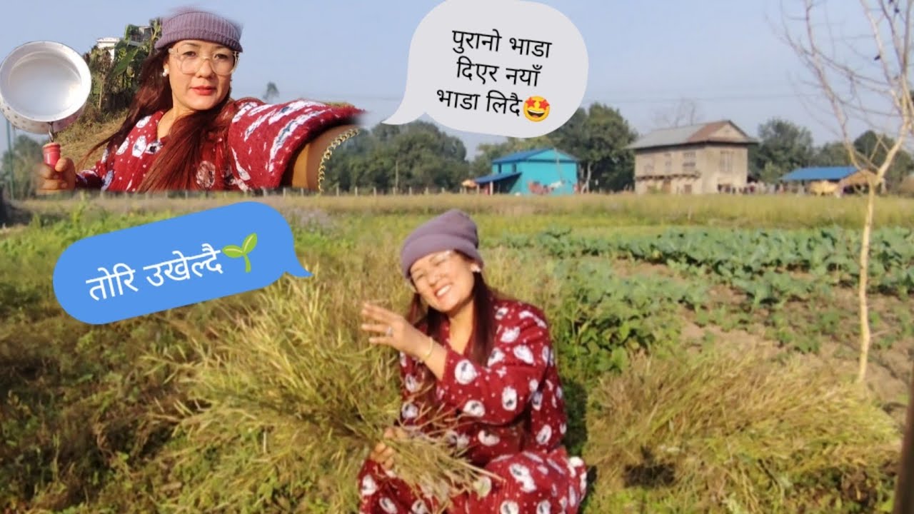 Naya nagarikta banyo🤷😍//tori ukhaler sakiyo🌱//purano bhada sanga naya bhada liyako🤩 