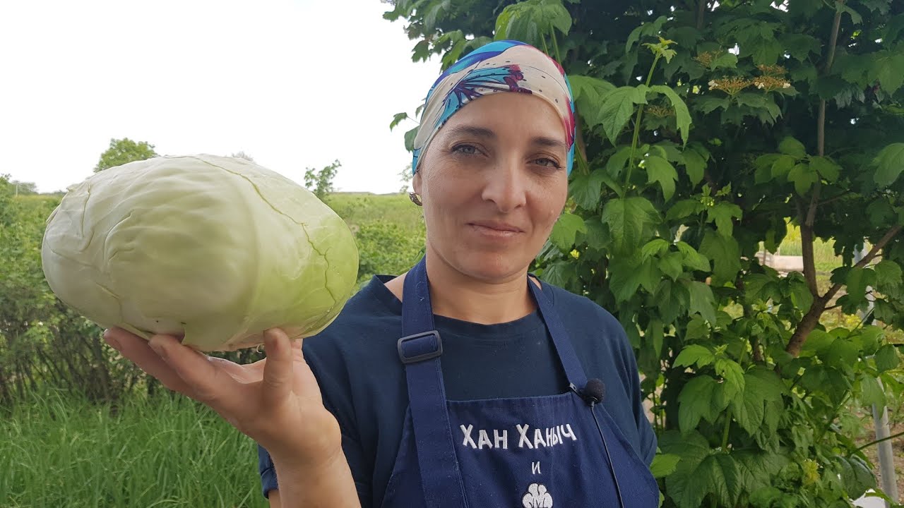 Необычные Голубцы с Дымком/Unusual Cabbage Rolls with Smoky