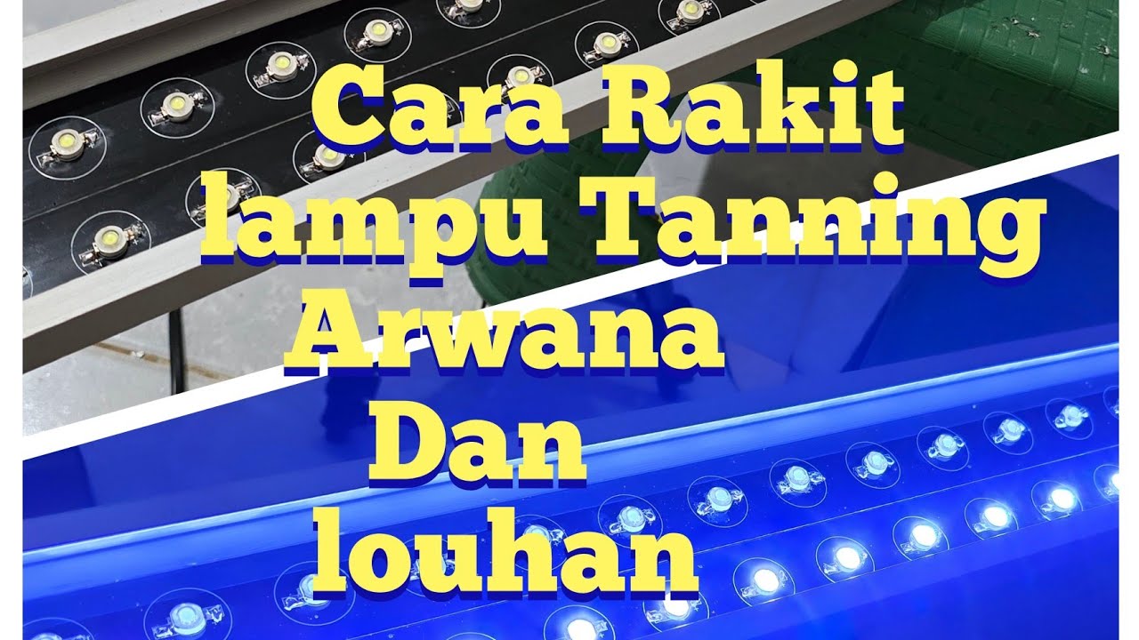Cara Merakit Lampu Tanning Arwana Dan Louhan
