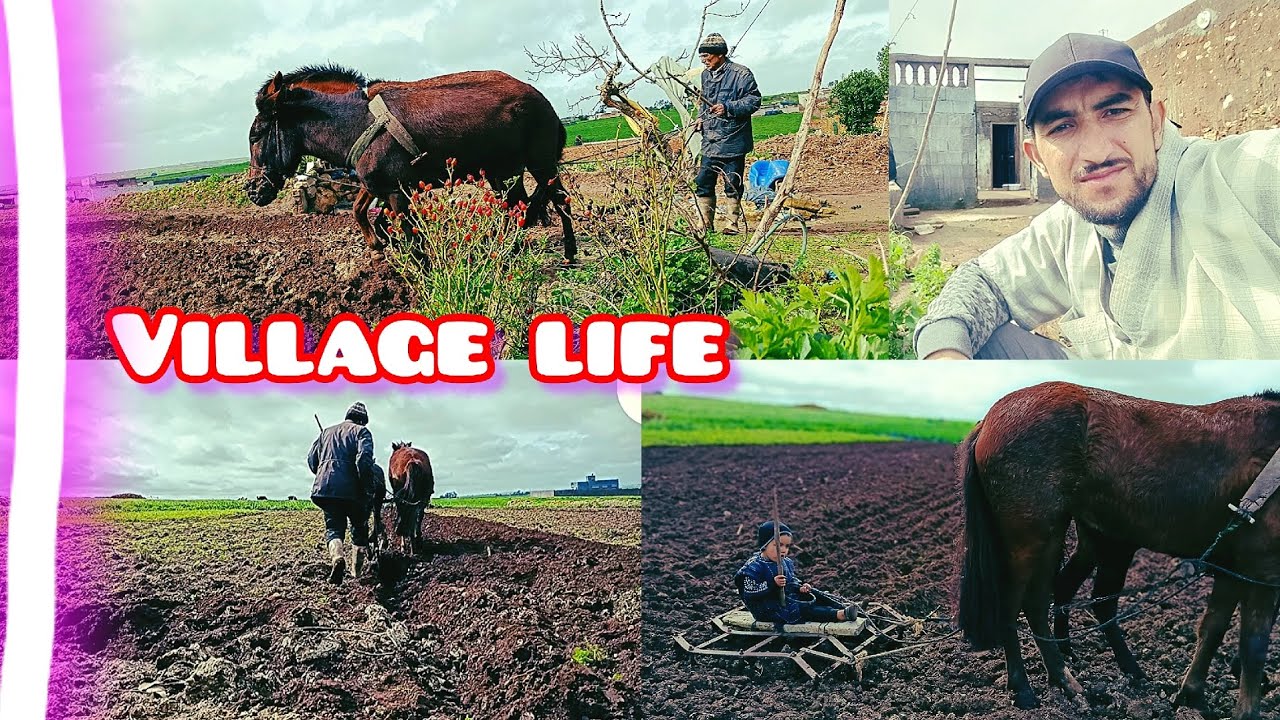 يومياتي في القرية :  أسرار الحرث، وجمال الحياة البسيطة VillageLife #FarmLife #Agricultur# 