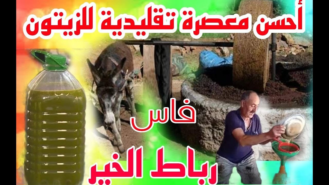 شاهدوا  أحسن  واجود معصرة تقليدية للزيتون في رباط الخير اقليم صفرو..