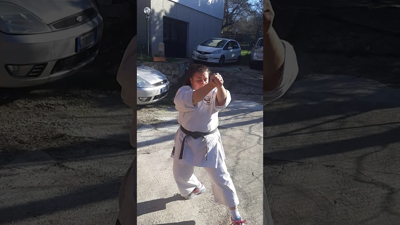 Kata Heian Yodan