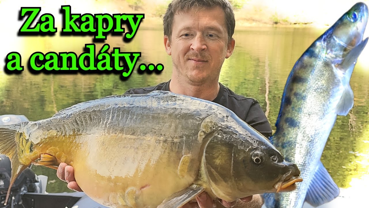 Výprava na kapry🐟 a za candáTy🦈...( jak si užít výpravu?! 🍀) + recept z umřelého candáta🦞🥩🍗👍