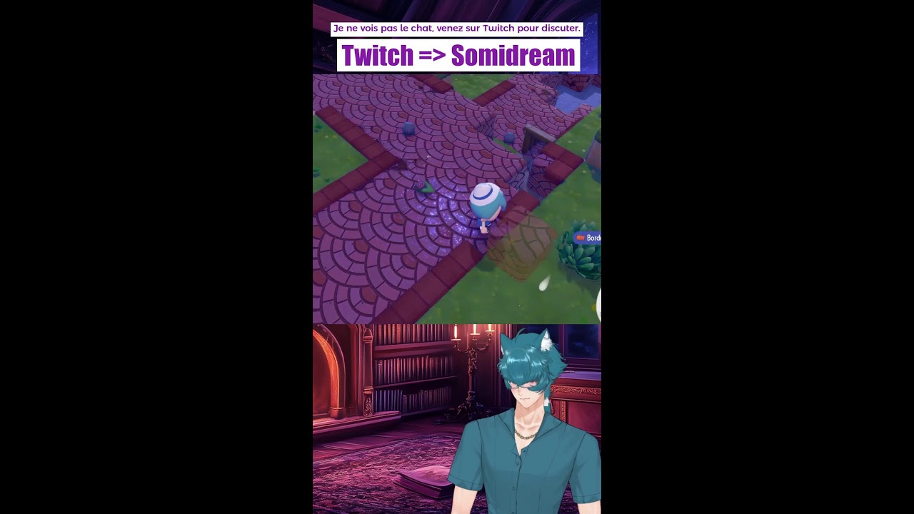 POKOPIA un jeu 