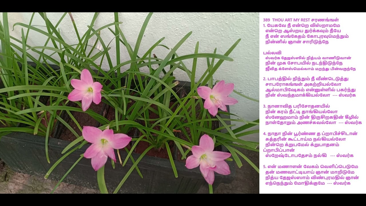 Malayalam/SONG 38/ யேசுவே நீ என்றெ விஸ்றாமமே/WORSHIP LIVE /YESUVE NEE ENDRE VISRAAMAMAME