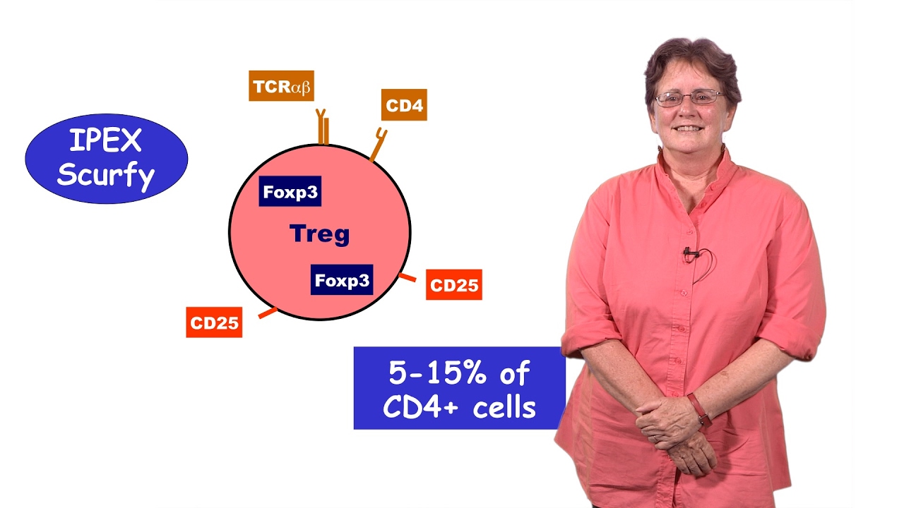 Diane Mathis (Harvard) 1: An Introduction to T Cell Tolerance