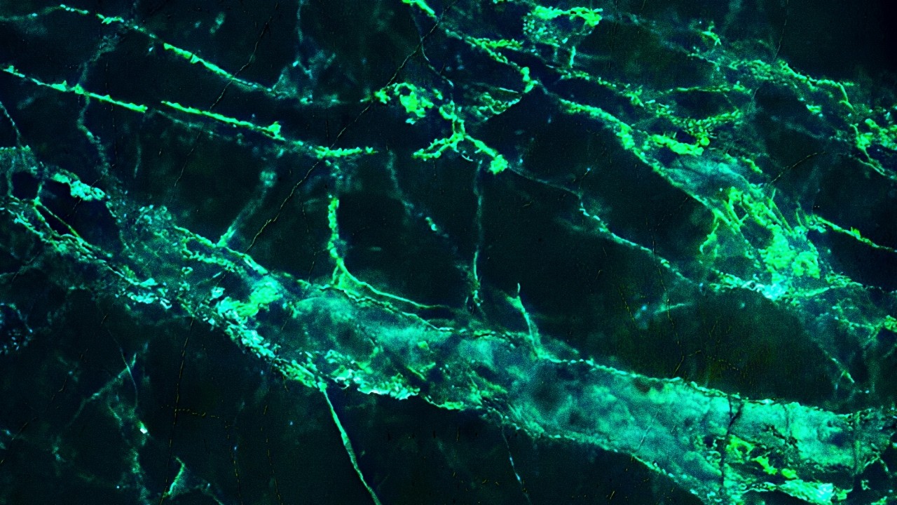 Mid-lite Worlds - Serotonins (Audio)