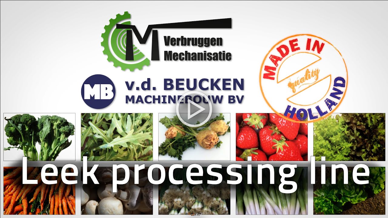 leek processing line