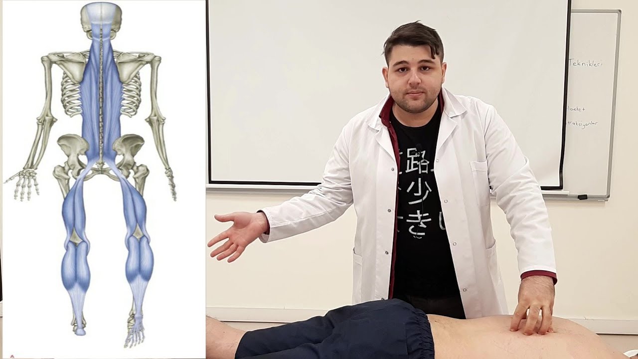 Posterior Fasya Masajı( Superficial Back Line)