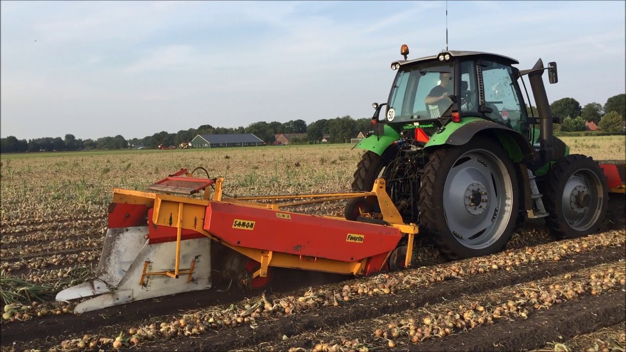 Uien rooien door Siebring Akkerbouw uit Oranjedorp