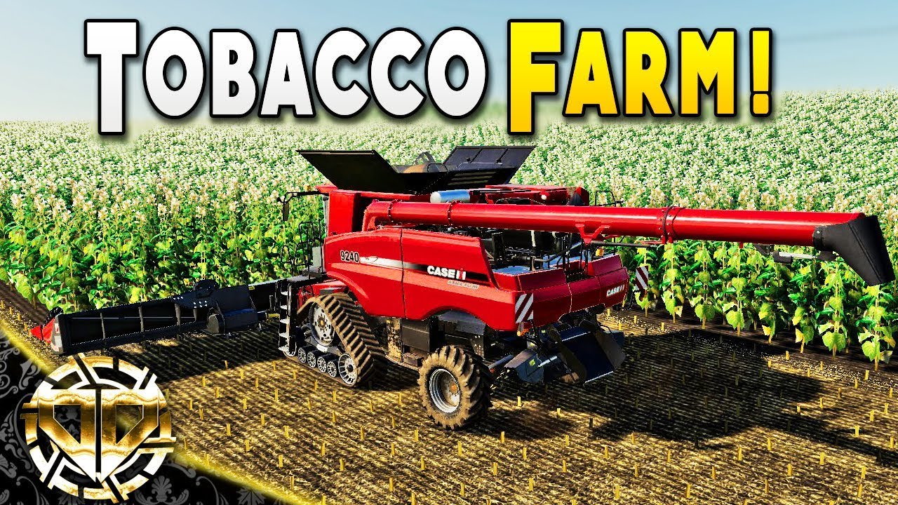 TOBACCO FARM : Harvesting for One Big Haul - Farming Simulator 19 Gameplay