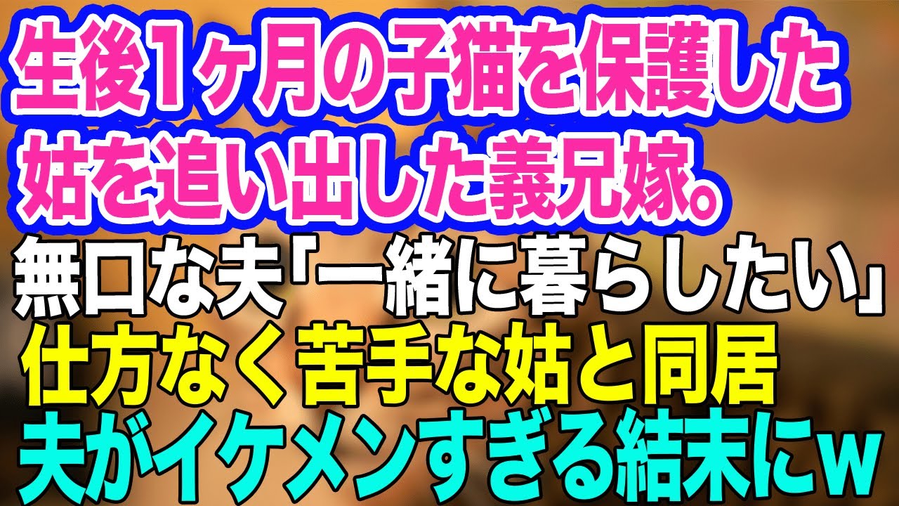 【スカッとする話】生後1ヶ月の子猫を保護した姑を家から追い出した義兄嫁。夫「うちで一緒に暮らしたい」私「…わかった」→苦手な姑と同居したが夫がイケメンすぎて最高すぎる結末にｗ