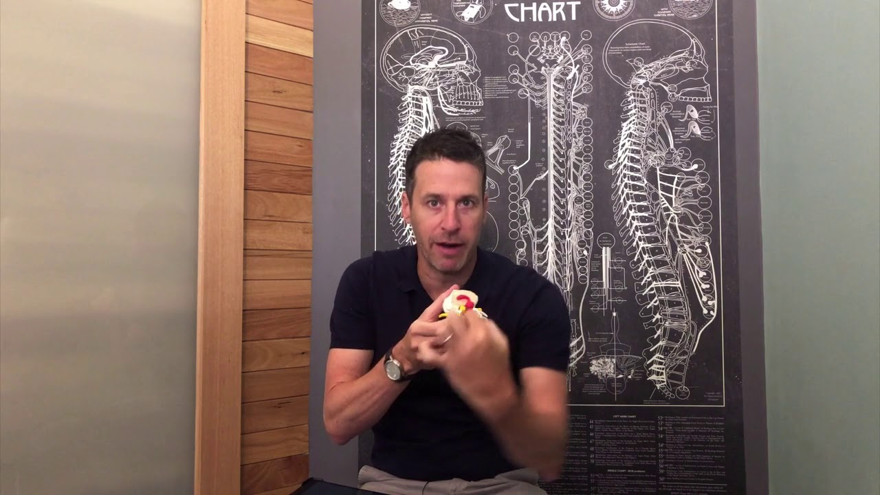 Unlocking the Secrets of Disc Resorption: Healing Insights Revealed!