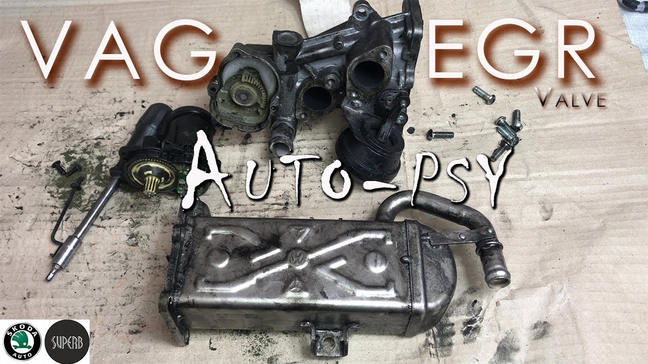 Skoda Superb EGR Valve Replacement Fault Code P040300