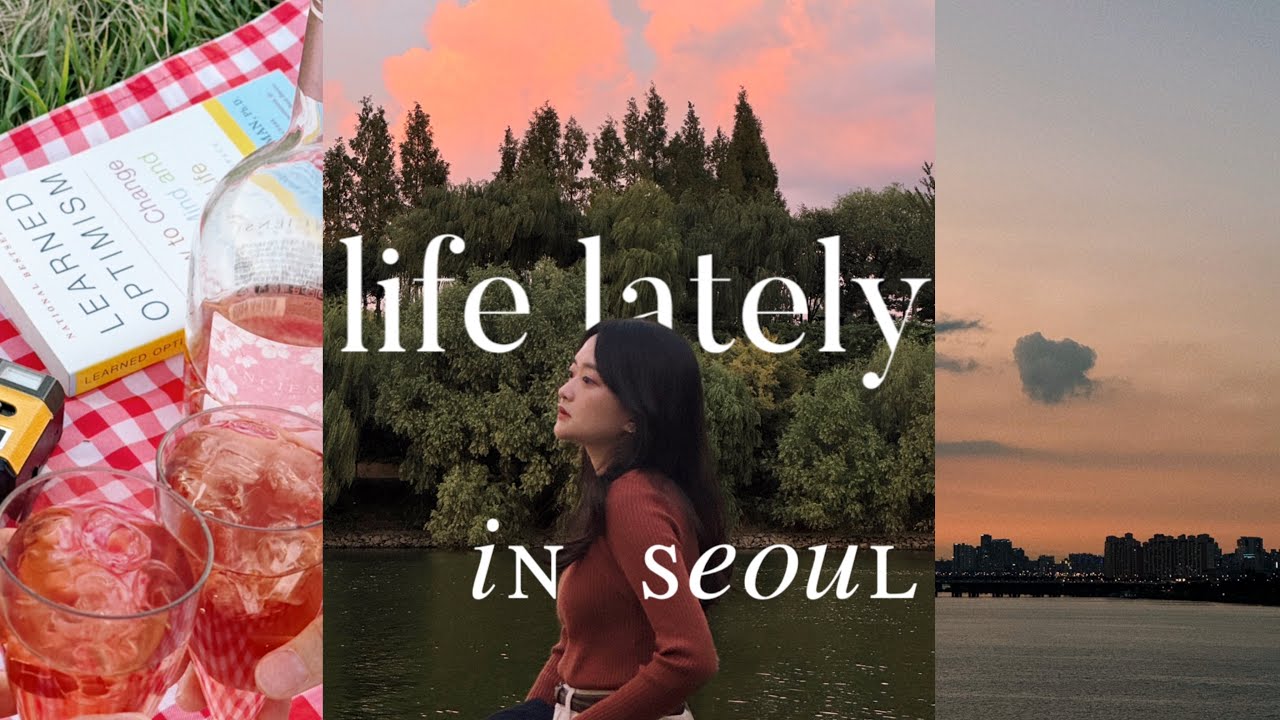 seoul diaries: autumn flowers in yangju, sunset, bookstores and cafe VLOG