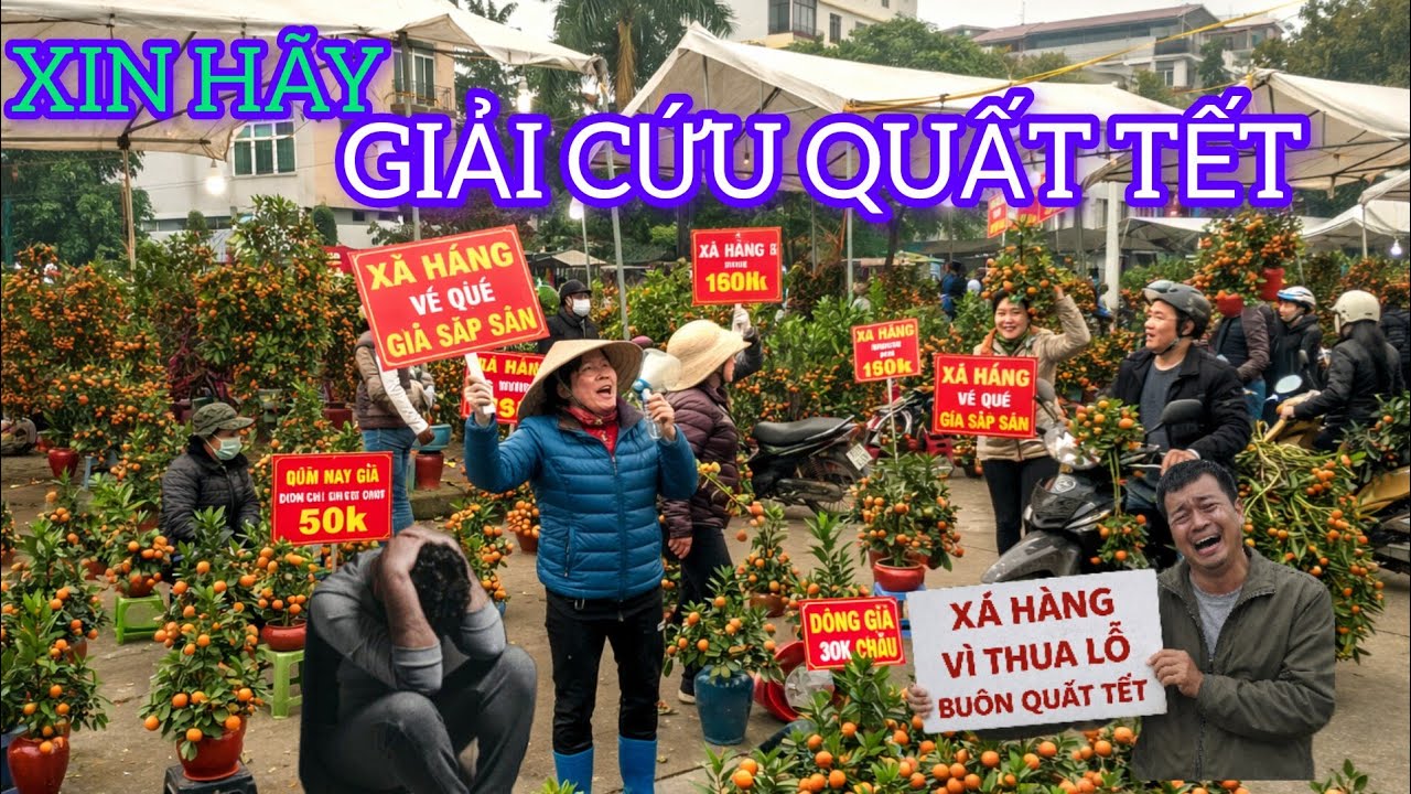 29 TẾT QUẤT KHÔNG BÁN ĐƯỢC XẢ HÀNG XIN GIẢI CỨU BÀ CON BÁN QUẤT 
