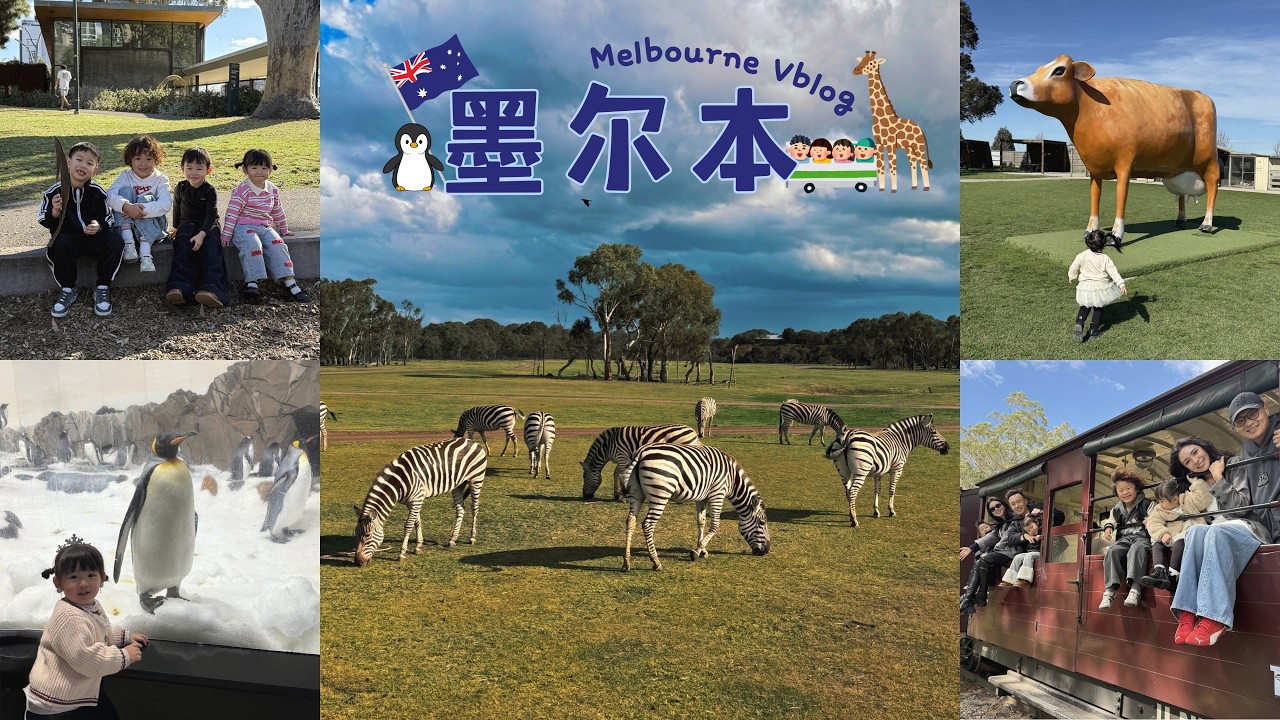 【🇦🇺 墨尔本遛娃】 最chill的遛娃国家😆｜终于坐上澳洲最古老的蒸汽火车 🚂