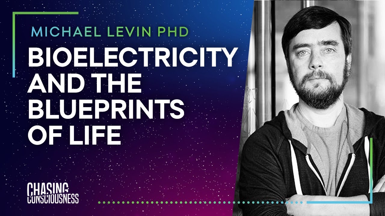 BIOELECTRICTY & THE BLUEPRINTS OF LIFE - Michael Levin PHD #49